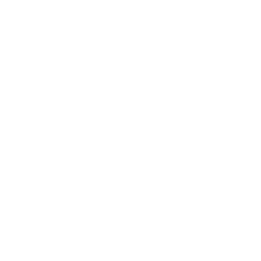 Digital Ammonite