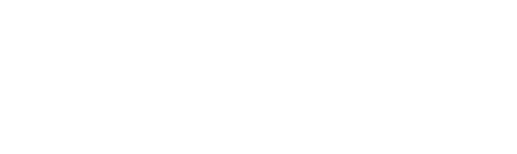Digital Ammonite